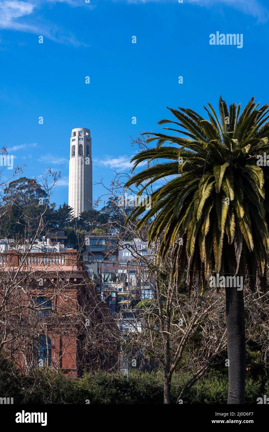 Coit Tower San Francisco, California, Foto Stock