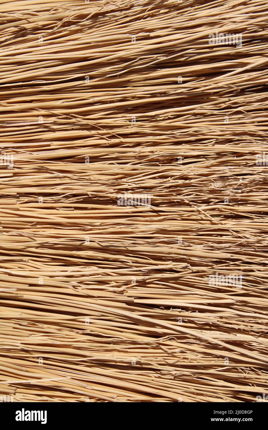Un dettaglio sulle setole della spazzandiera Foto Stock