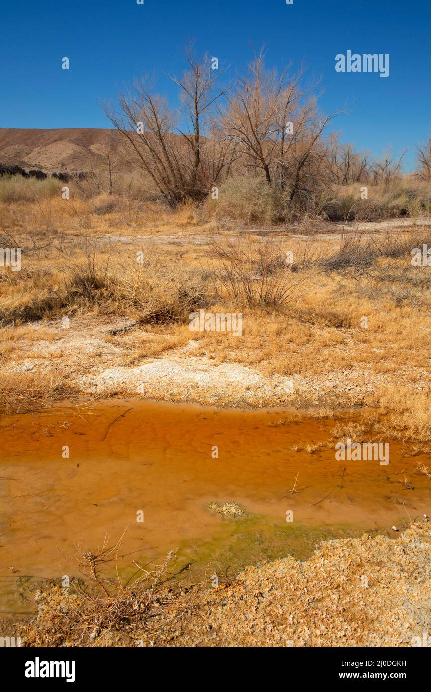 Fiume Mojave, area naturale di Afton Canyon, California Foto Stock