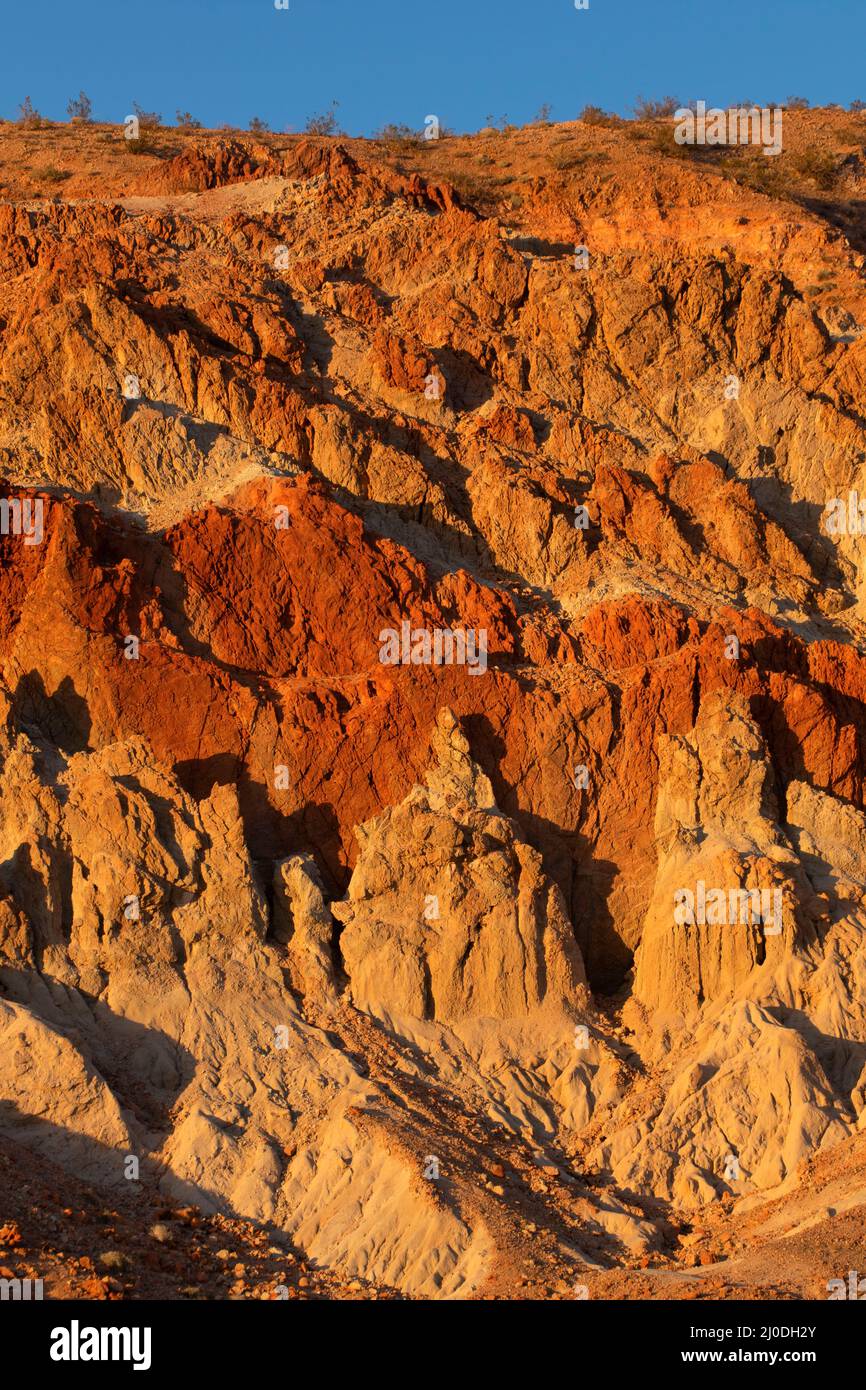 Red Rooster, Red Rock Canyon state Park, California Foto Stock