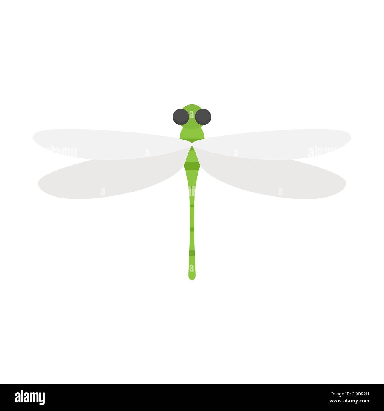 Libellule carine con linea tratteggiata percorso. Fling verde libellula Illustrazione Vettoriale