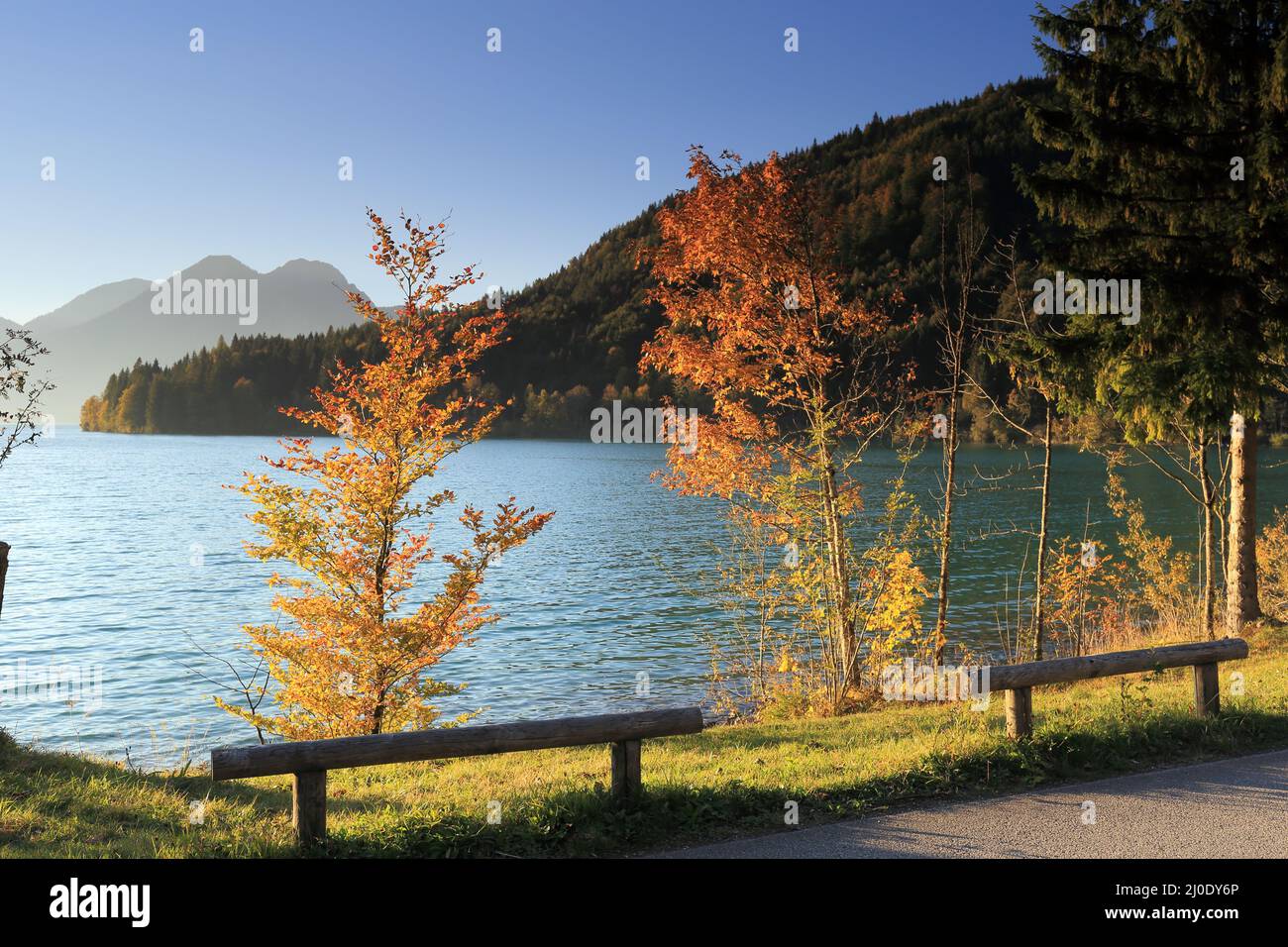 Lago d'autunno con alberi Foto Stock