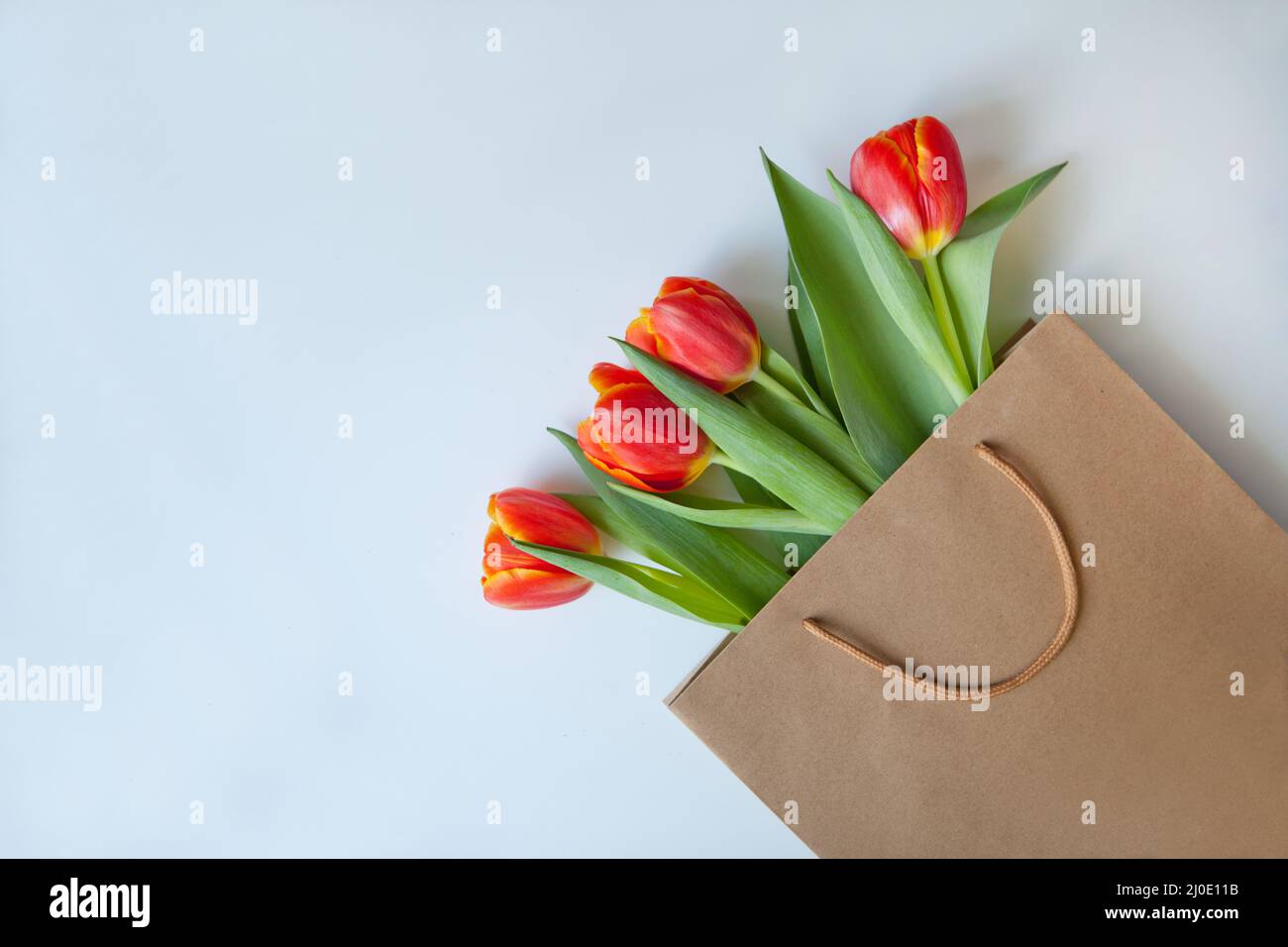 tulipani rossi al sacchetto di carta. Fiori colorati. Rosso e bianco. Vista dall'alto con spazio per il testo Foto Stock