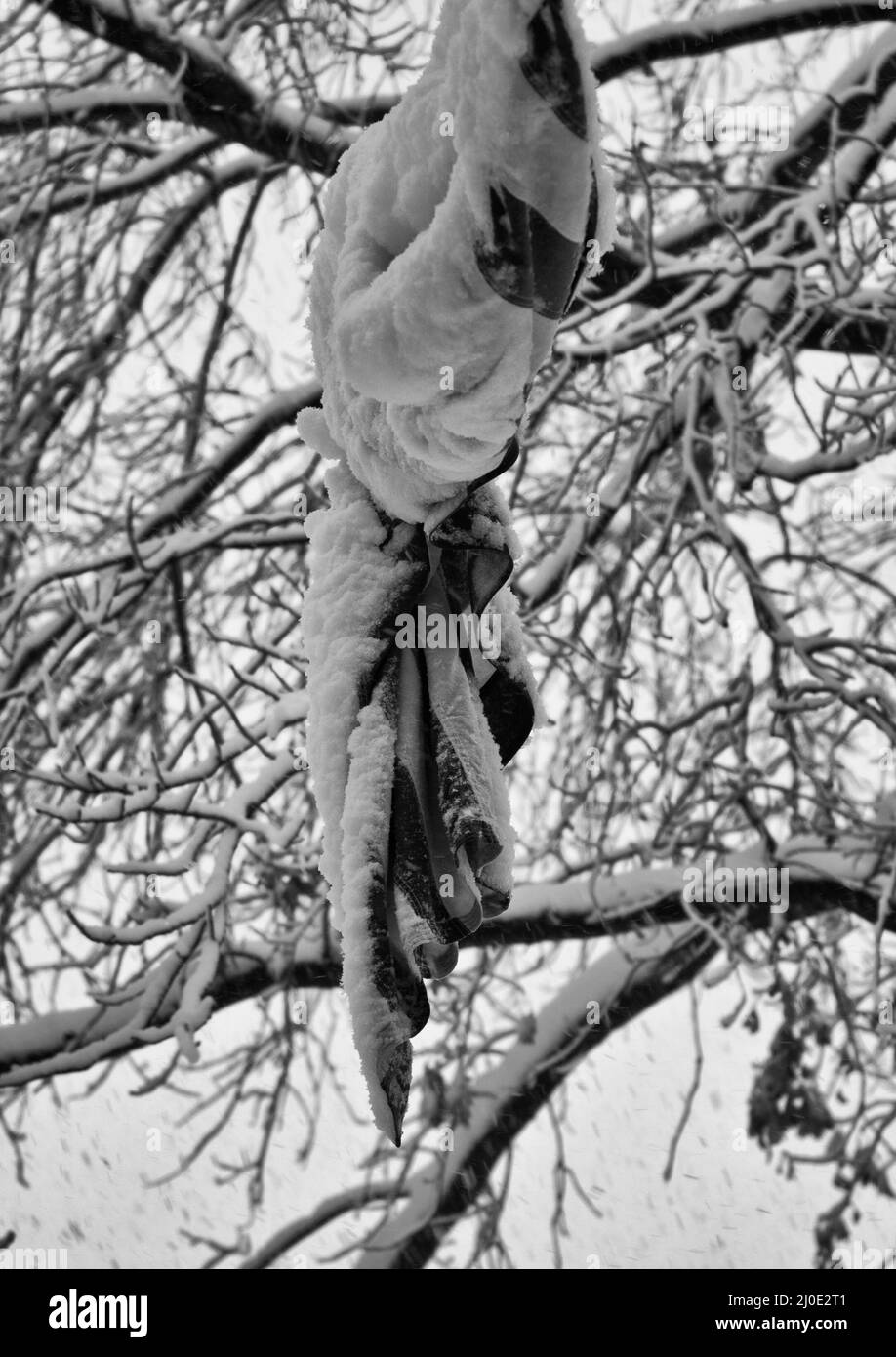 Le immagini in bianco e nero mettono in luce i dettagli Foto Stock