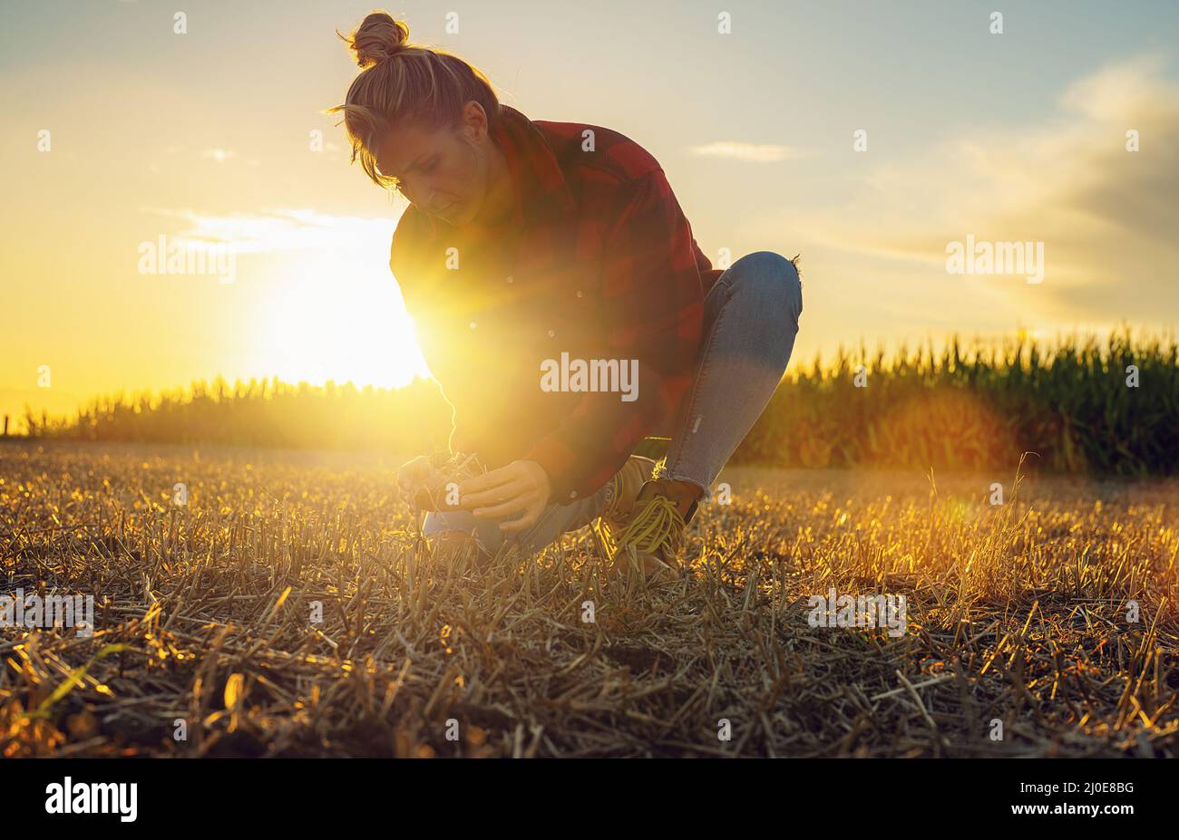 Coltivatore che tiene suolo in mani. Le mani femminili toccano e scovano il terreno sul campo. Coltivatore sta controllando la qualità di suolo prima di seminare grano. Agricoltura, Foto Stock