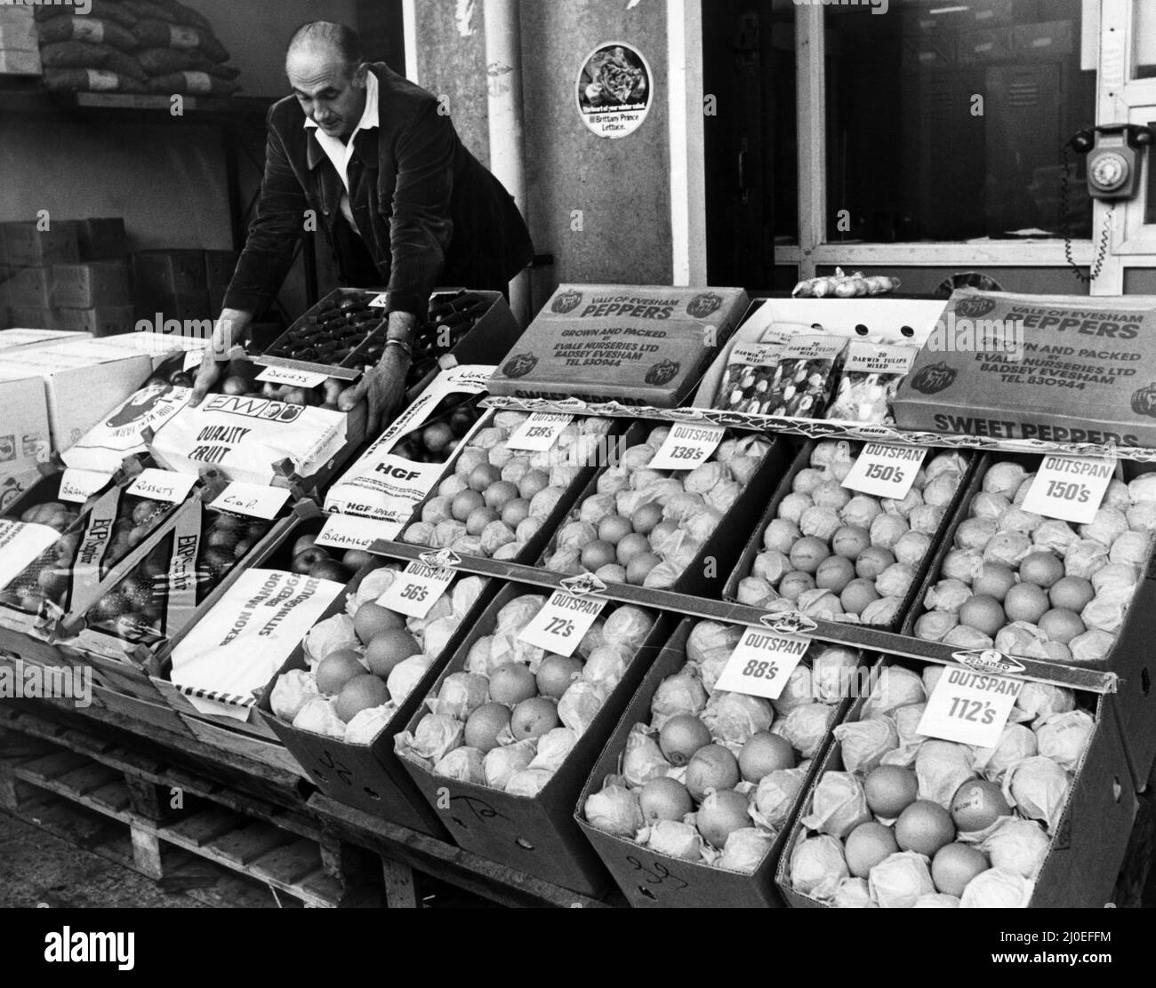 Mercato all'ingrosso della frutta, Liverpool, 27th settembre 1979. Una mostra di frutta di R Wells Ltd nel mercato all'ingrosso. Foto Stock