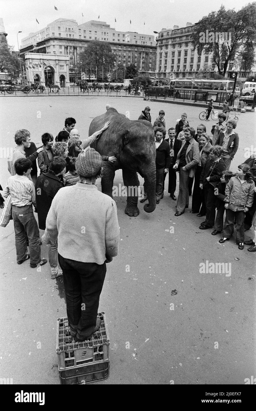 Maureen l'elefante, con il circo Robert Brothers, vive ad Hyde Park questa settimana durante le celebrazioni per l'anno del Bambino. Durante la sua passeggiata intorno al parco per il suo esercizio quotidiano si fermò ad ascoltare al Speakers' Corner, e colse l'opportunità di fare una 'chiamata trunk'. Ma quando ha provato a salire a bordo di un autobus, il Conductress ha deciso che non c'era abbastanza spazio! 29th maggio 1979. Foto Stock