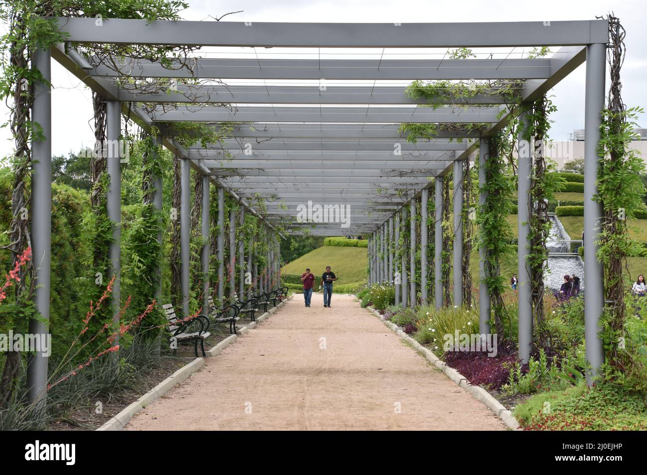 McGovern Centennial Gardens all'Hermann Park di Houston, Texas Foto Stock