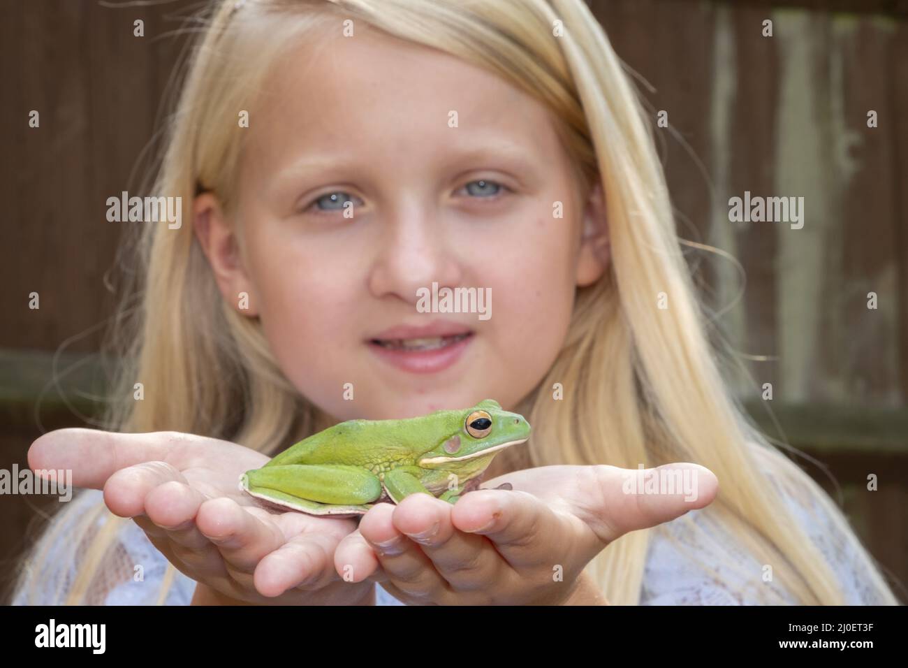 Pre-teen ragazza caucasica tenendo un labbro bianco raganella nelle sue mani Foto Stock