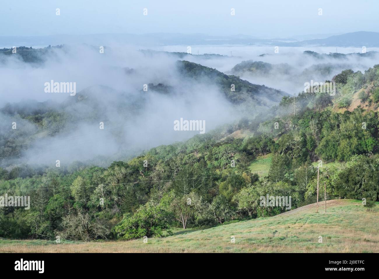 Le nuvole basse coprono le colline nella contea di Sonoma, California. Foto Stock