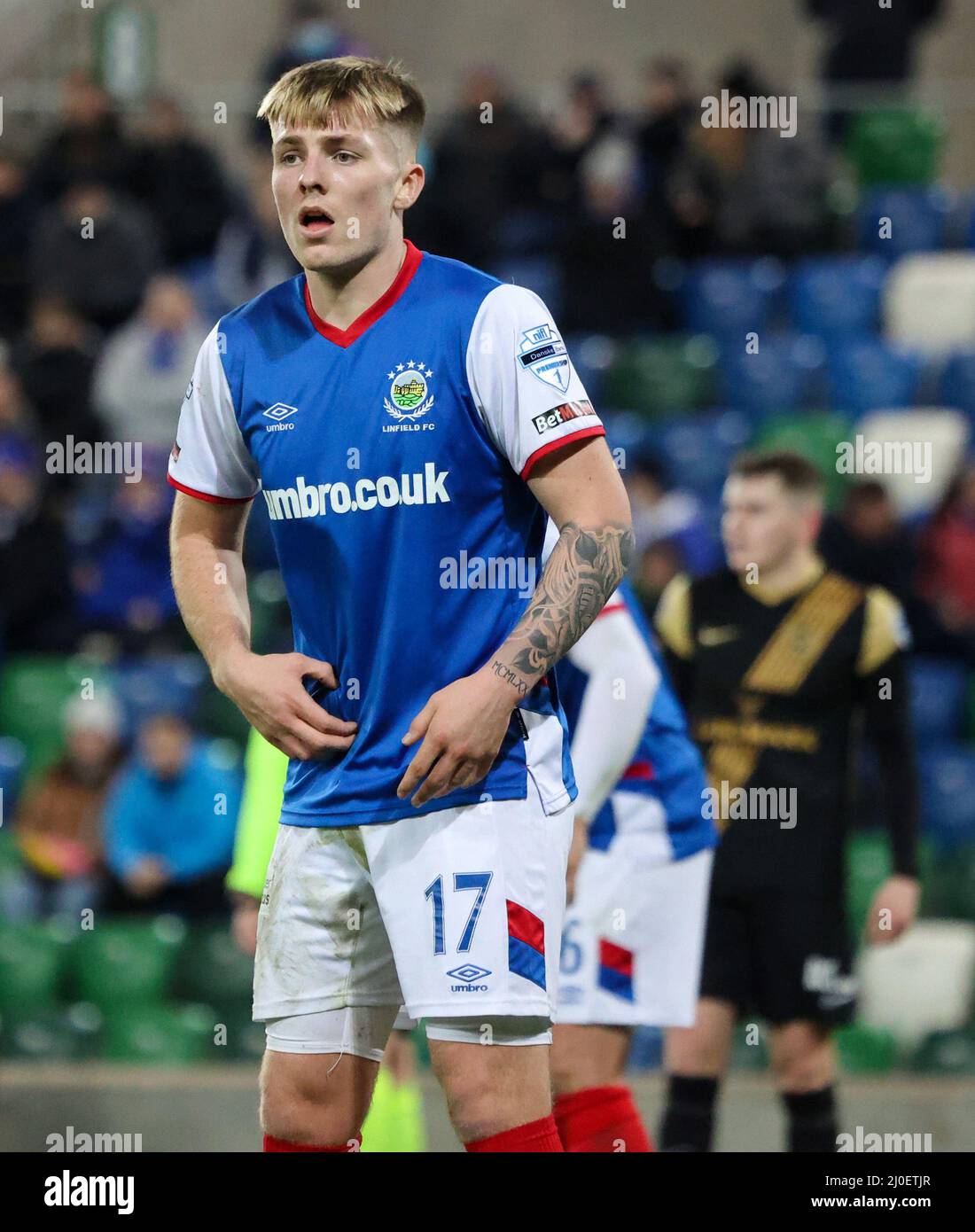 Windsor Park, Belfast, Irlanda del Nord, Regno Unito. 08 Feb 2022. Danske Bank Premiership – Linfield 2 Larne 1. Chris McKee Linfield (17) Foto Stock