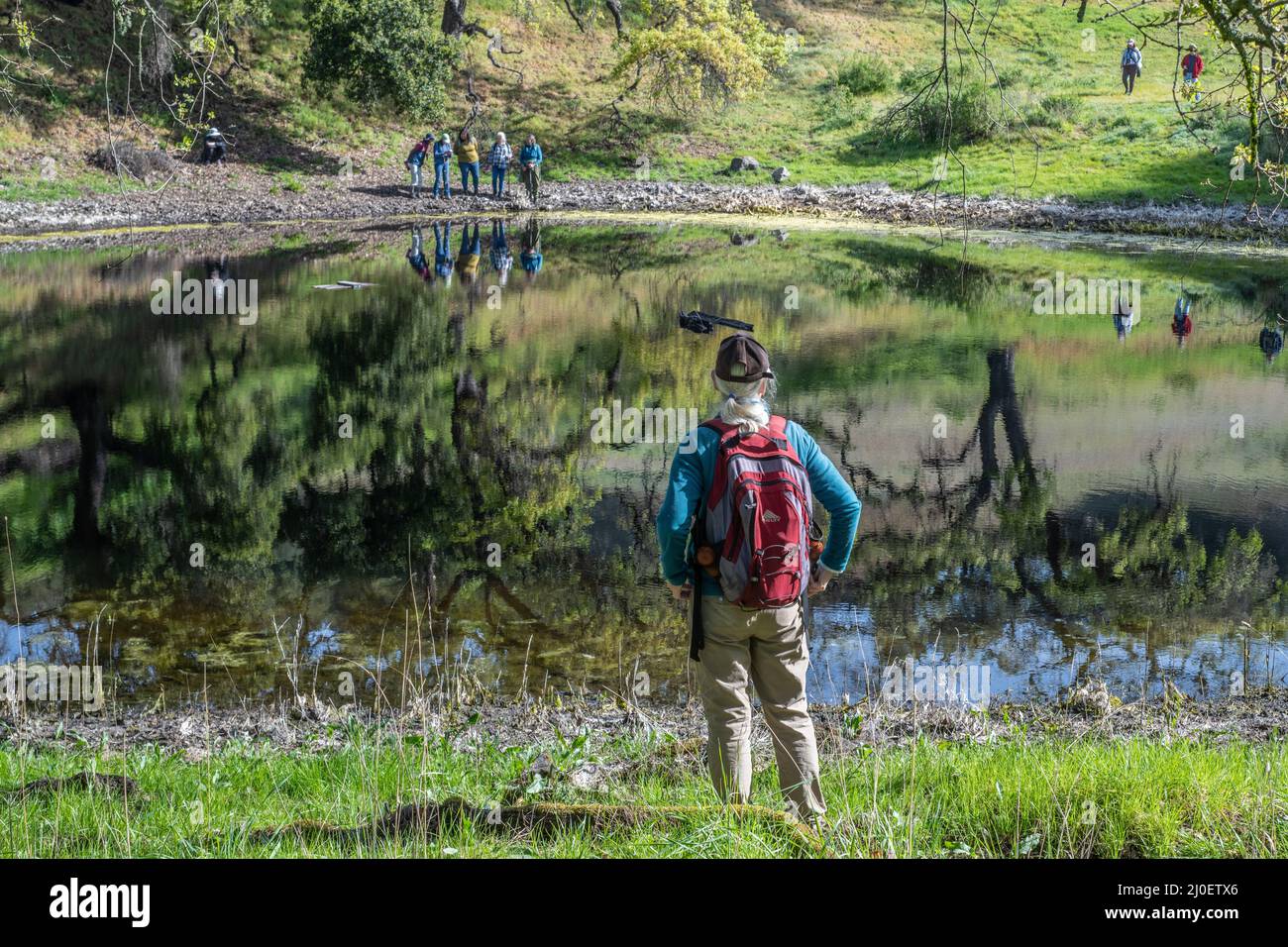 Un escursionista anziano si affaccia su un laghetto con acqua liscia e riflesso nella campagna della California settentrionale in una splendida giornata di primavera. Foto Stock Un escursionista anziano si affaccia su un laghetto con acqua liscia e riflesso nella campagna della California settentrionale in una splendida giornata di primavera. Foto Stock