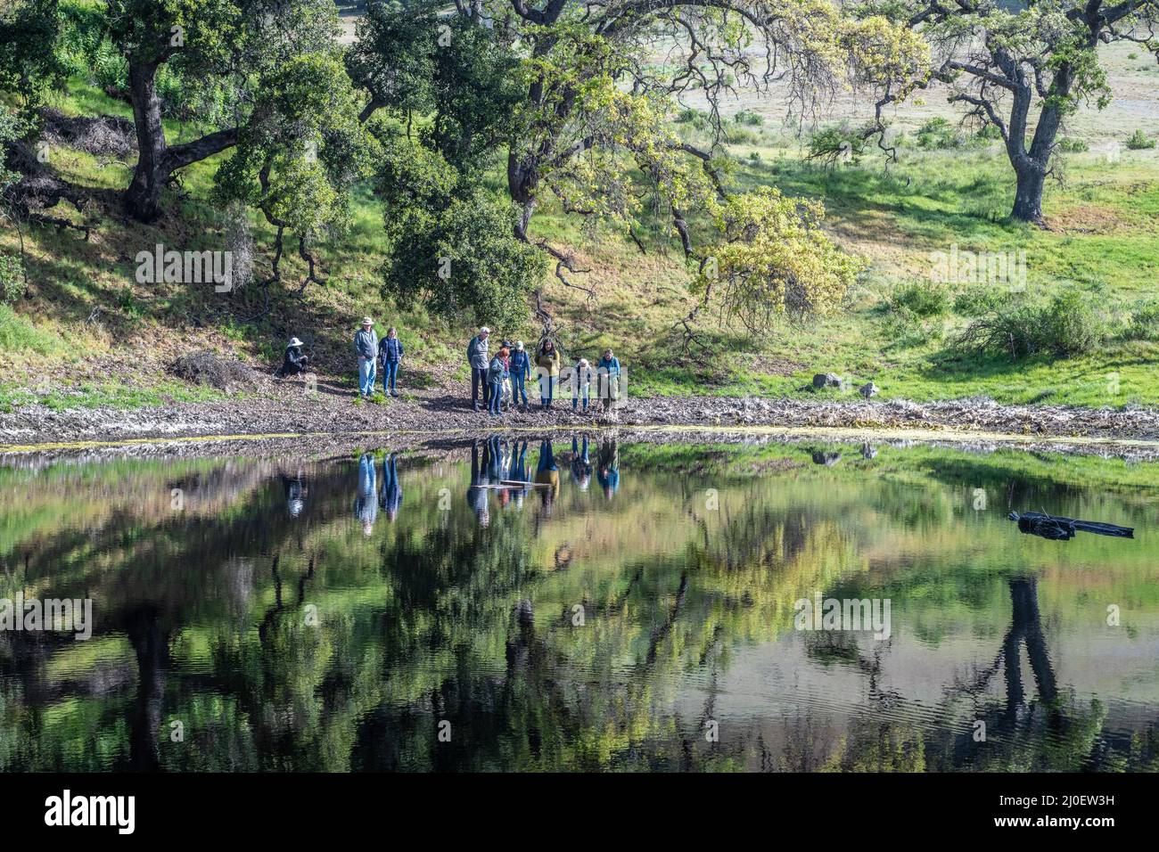 Un gruppo di escursionisti si trova al confine con le acque della California settentrionale, sotto gli alberi di quercia nella contea di Sonoma. Foto Stock