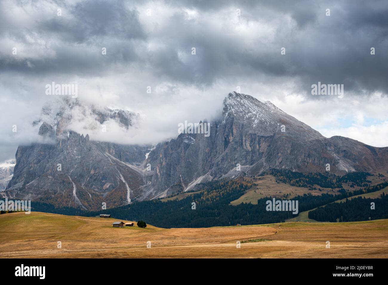 Prati e le Dolomiti vette rocciose Alpe di siusi Alpe di siusi Foto Stock