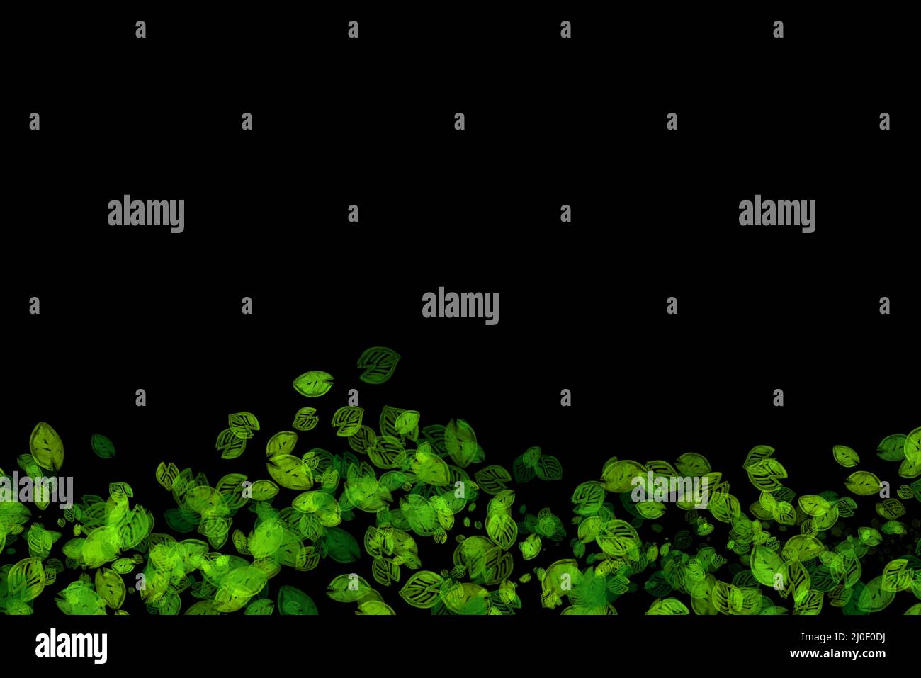 Astratto Eco fresco campo verde linea ondulata fatta di disegni foglie isolate su sfondo nero. Primavera illustrazione sana overla Foto Stock