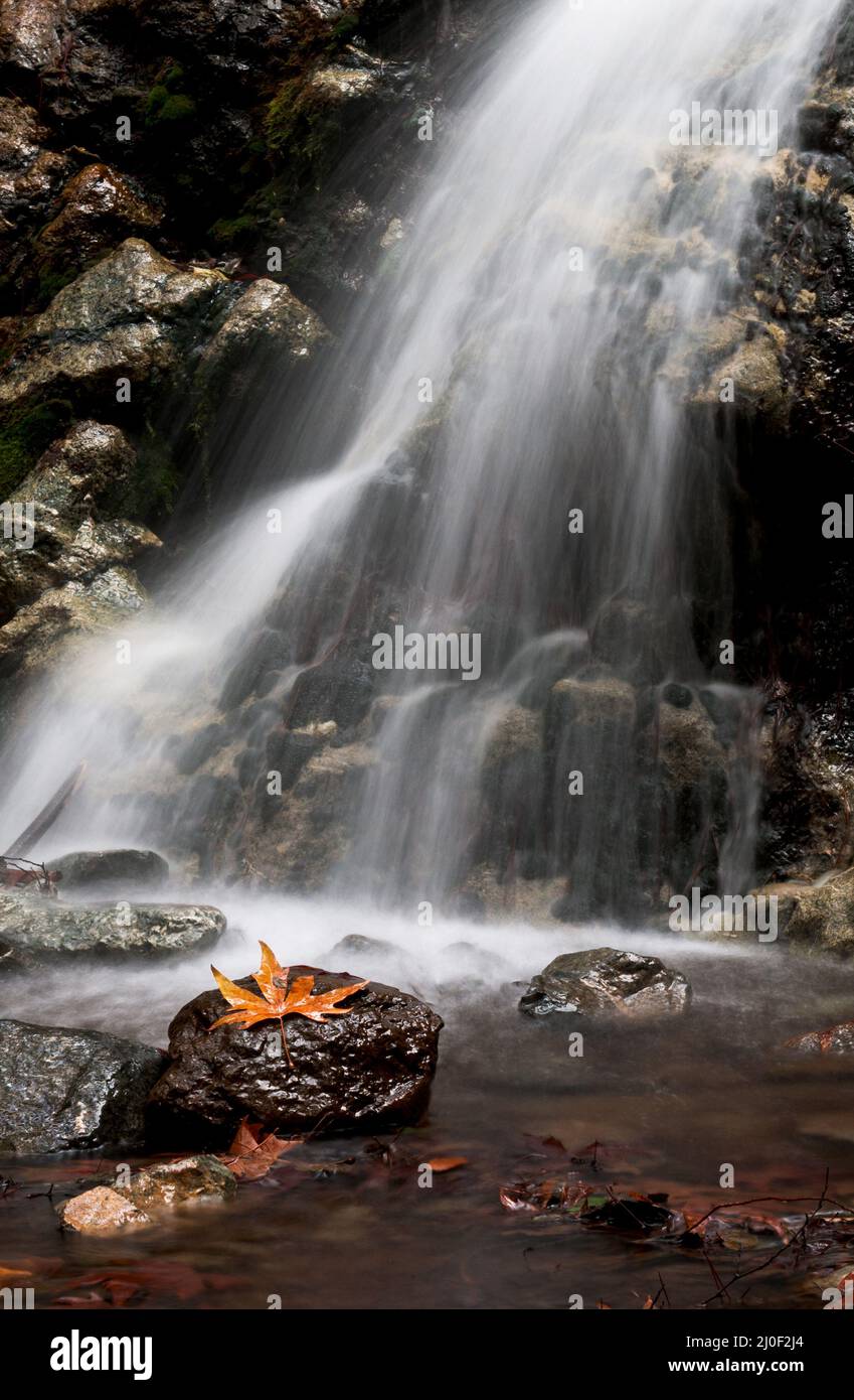 Cascata e foglie in acqua, Troodos Cipro Foto Stock