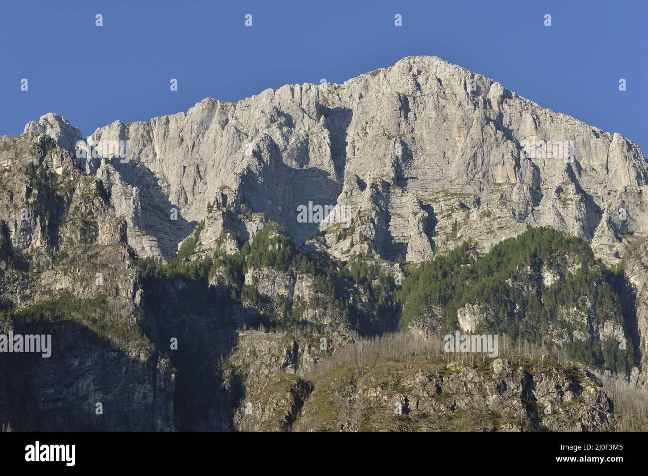Cima del Cimone dalla valle di Raccolana Foto Stock