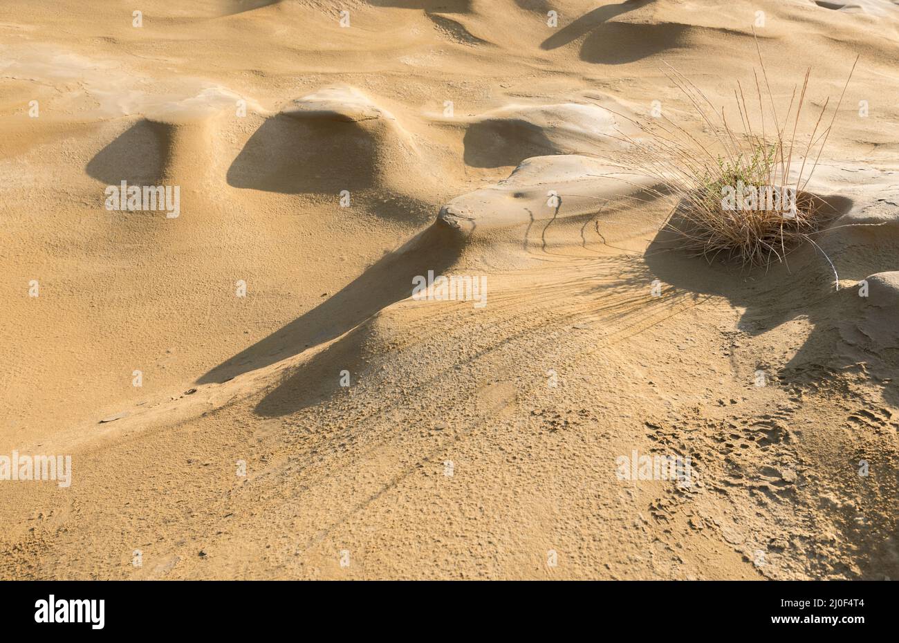 Terra deserta asciutta con dune di sabbia. Foto Stock