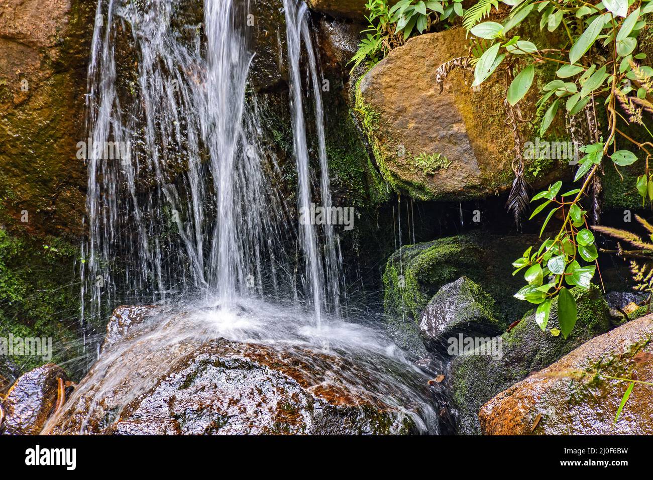 Piccola cascata tra pietre mosy Foto Stock