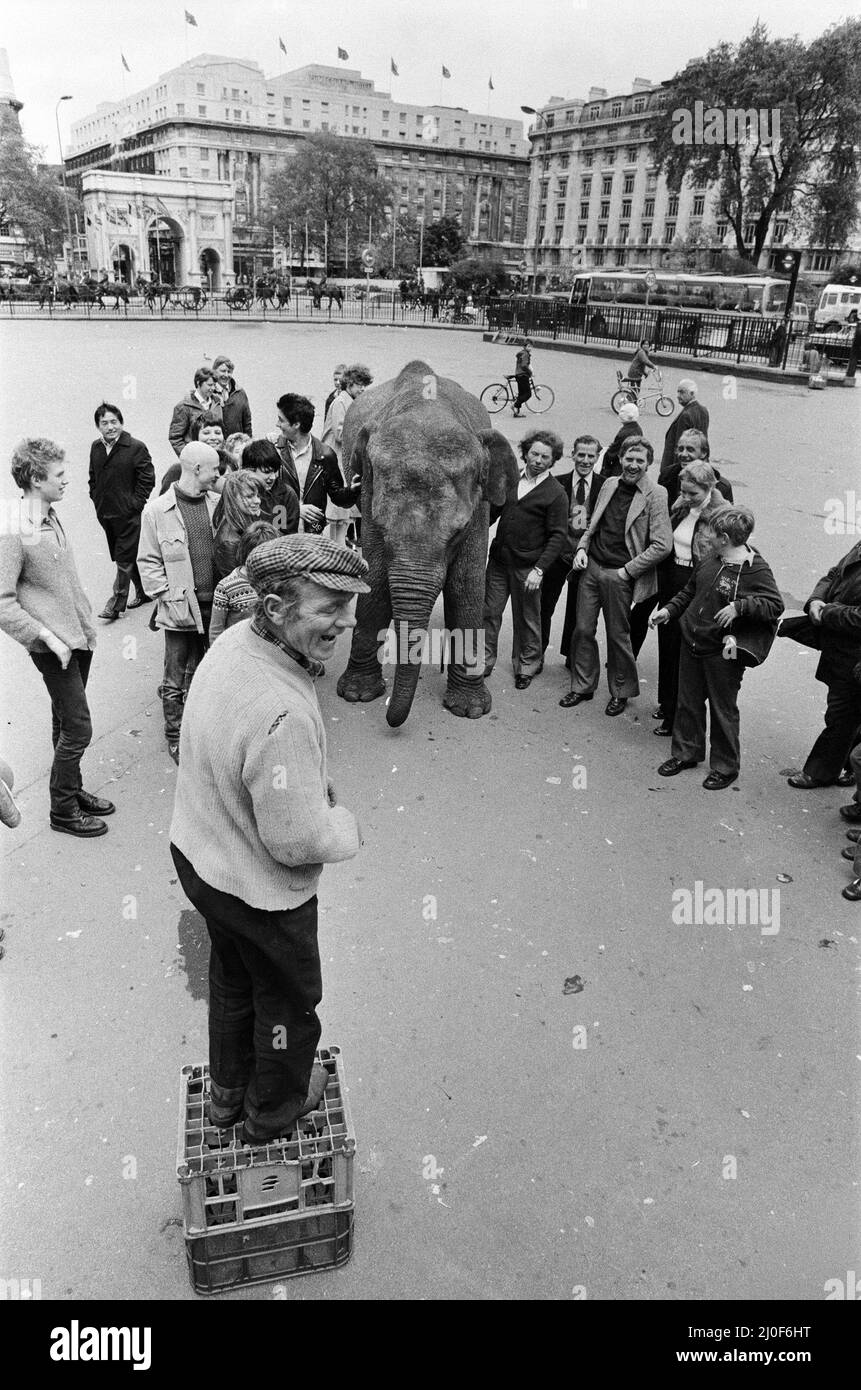 Maureen l'elefante, con il circo Robert Brothers, vive ad Hyde Park questa settimana durante le celebrazioni per l'anno del Bambino. Durante la sua passeggiata intorno al parco per il suo esercizio quotidiano si fermò ad ascoltare al Speakers' Corner, e colse l'opportunità di fare una 'chiamata trunk'. Ma quando ha provato a salire a bordo di un autobus, il Conductress ha deciso che non c'era abbastanza spazio! 29th maggio 1979. Foto Stock