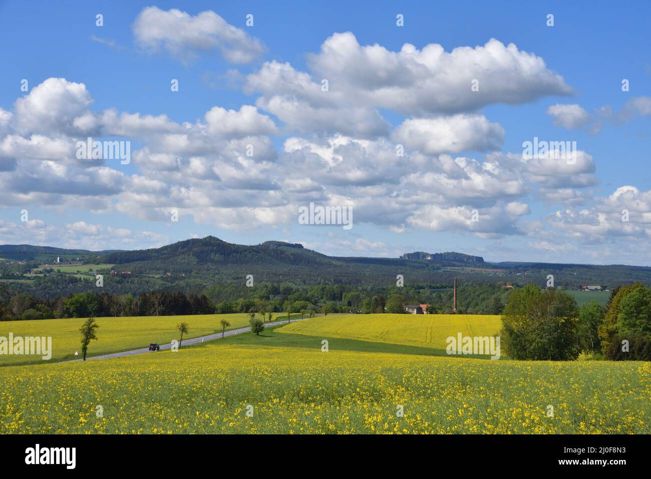 Svizzera sassone Foto Stock