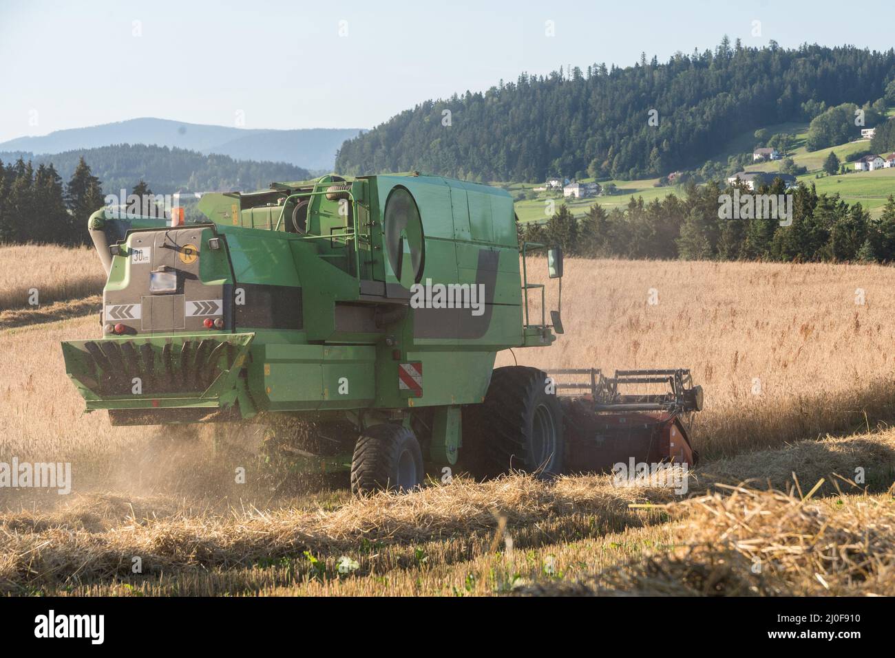 Mietitrebbiatrice su un campo di grano - raccolto in estate Foto Stock