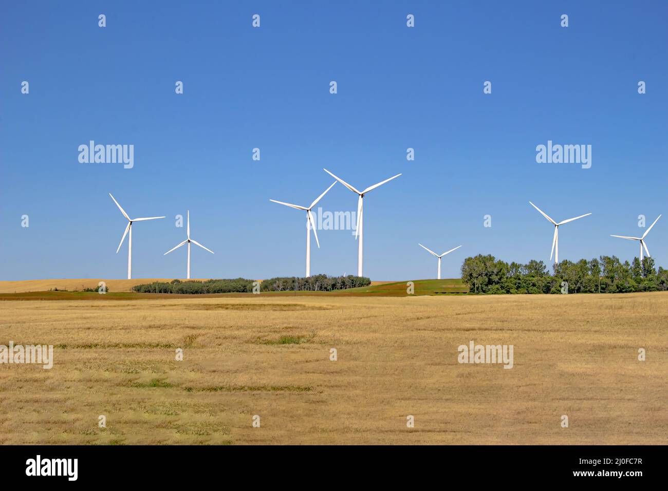 Diversi gereratori di energia elettrica della turbina eolica in una fattoria. Fonti di energia rinnovabile in un campo agricolo. Foto Stock