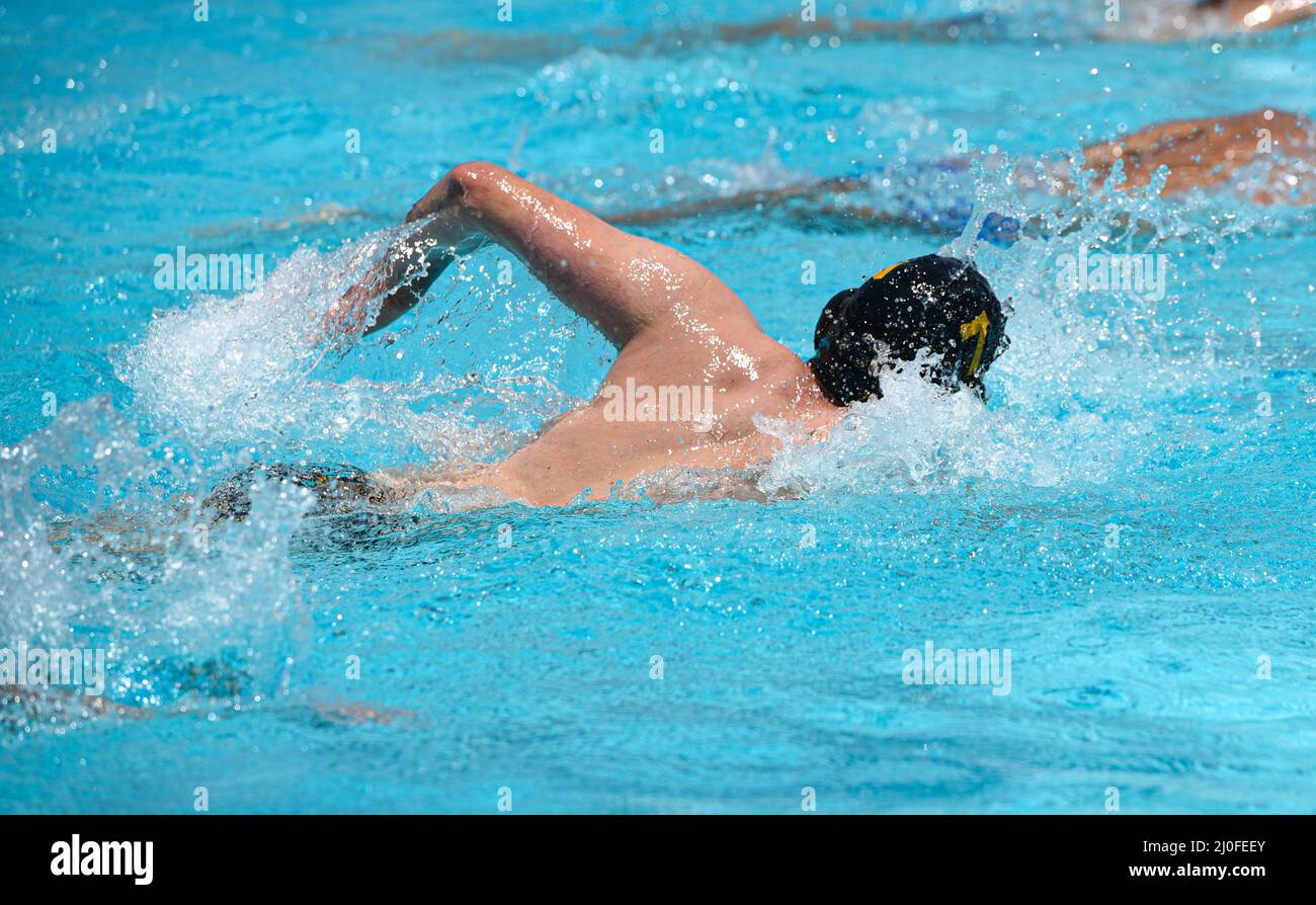 Atleti che nuotano freestyle in piscina Foto Stock