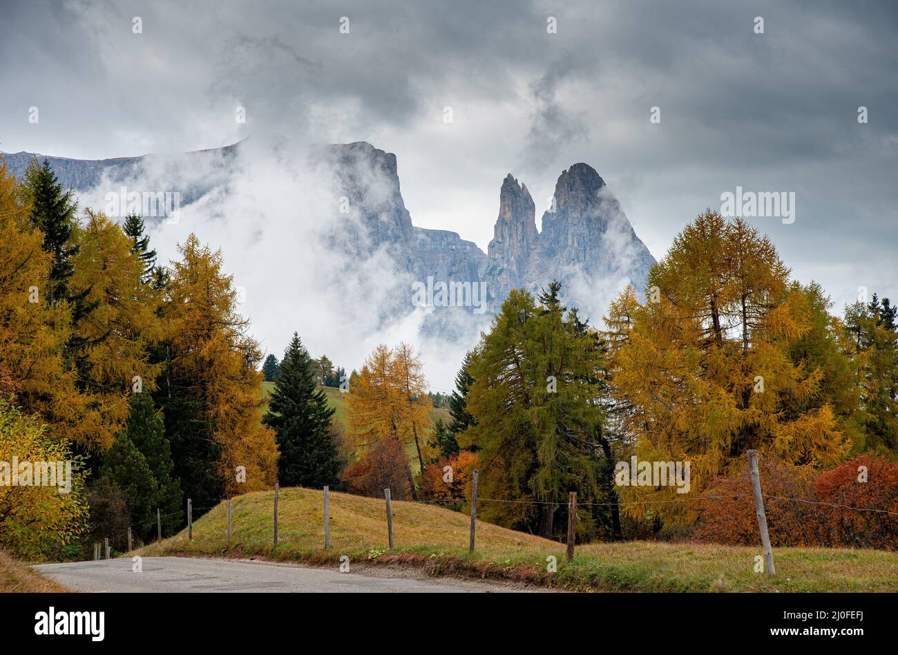 Paesaggio con prati autunnali e alberi dolomite cime rocciose in Italia Foto Stock
