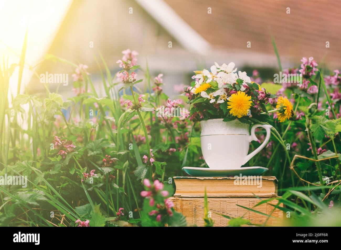 Paesaggio rurale una pila di vecchi libri con un bicchiere di fiori su uno sfondo di erba fiorita e. Foto Stock