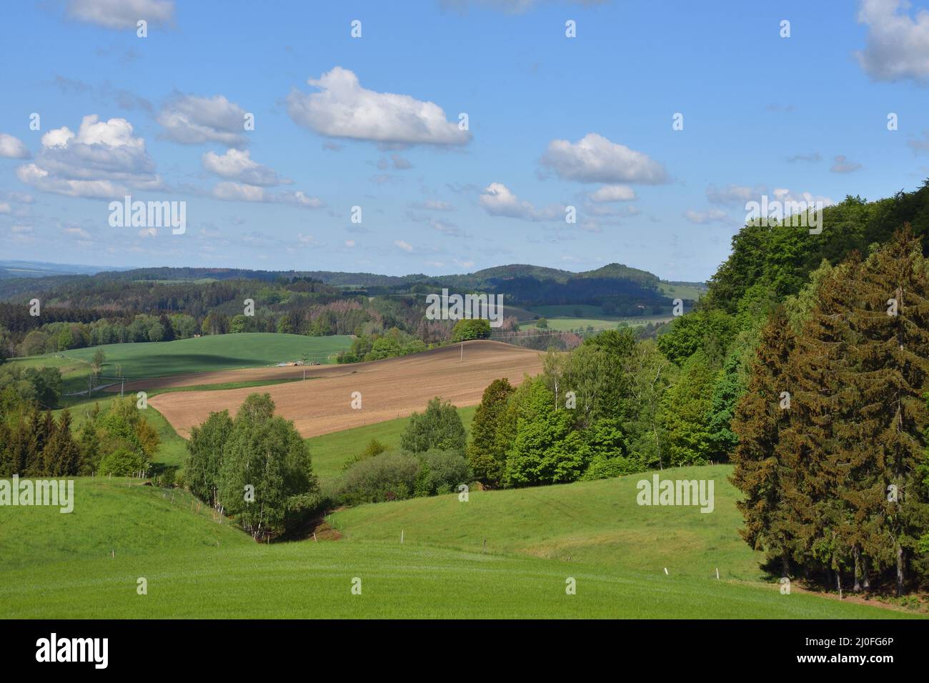 Svizzera sassone Foto Stock
