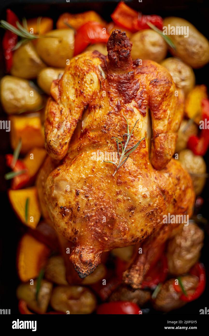Delizioso pollo intero cotto con zucca, pepe e patate. Servito in teglia da forno in metallo. Foto Stock