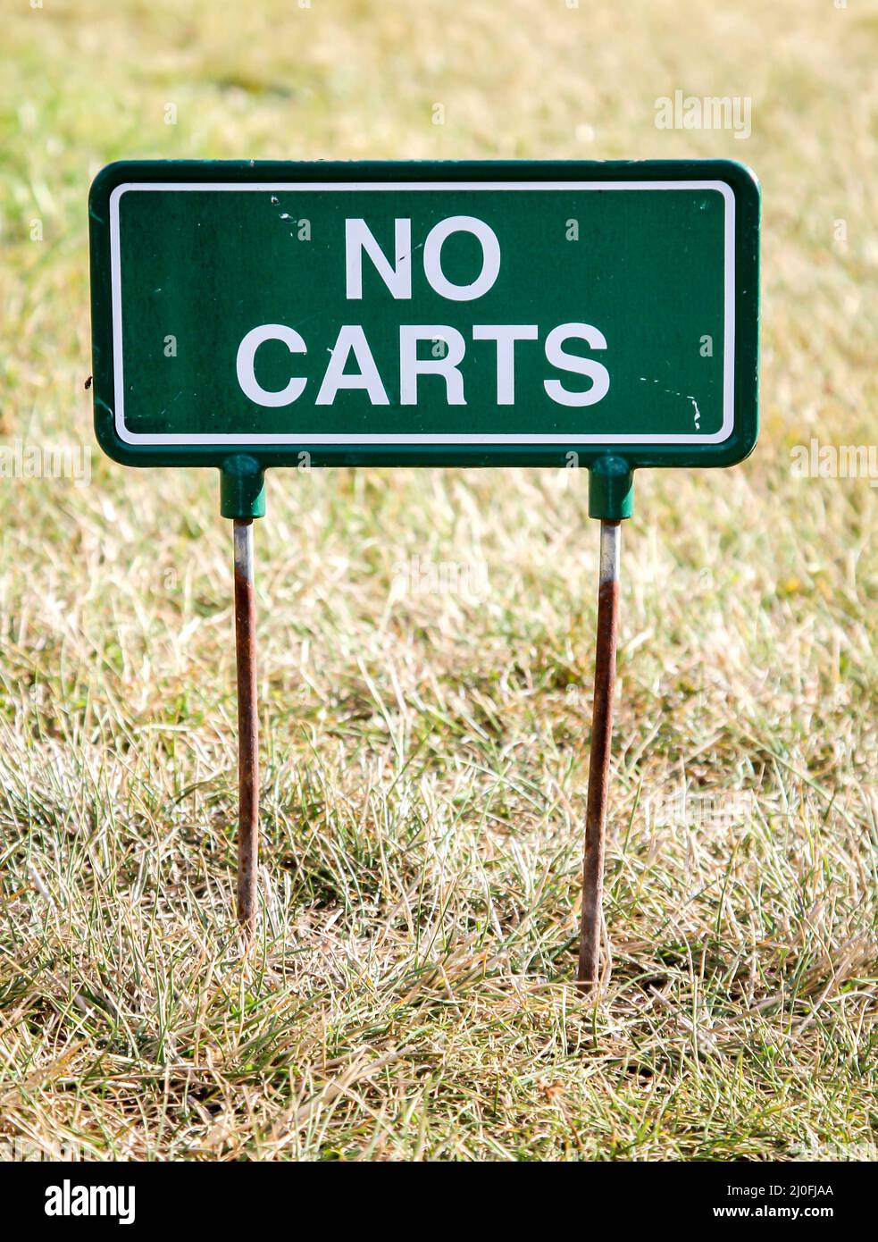 Impressioni dal campo da golf. Golf lo sport della concentrazione e della tecnica. Foto Stock