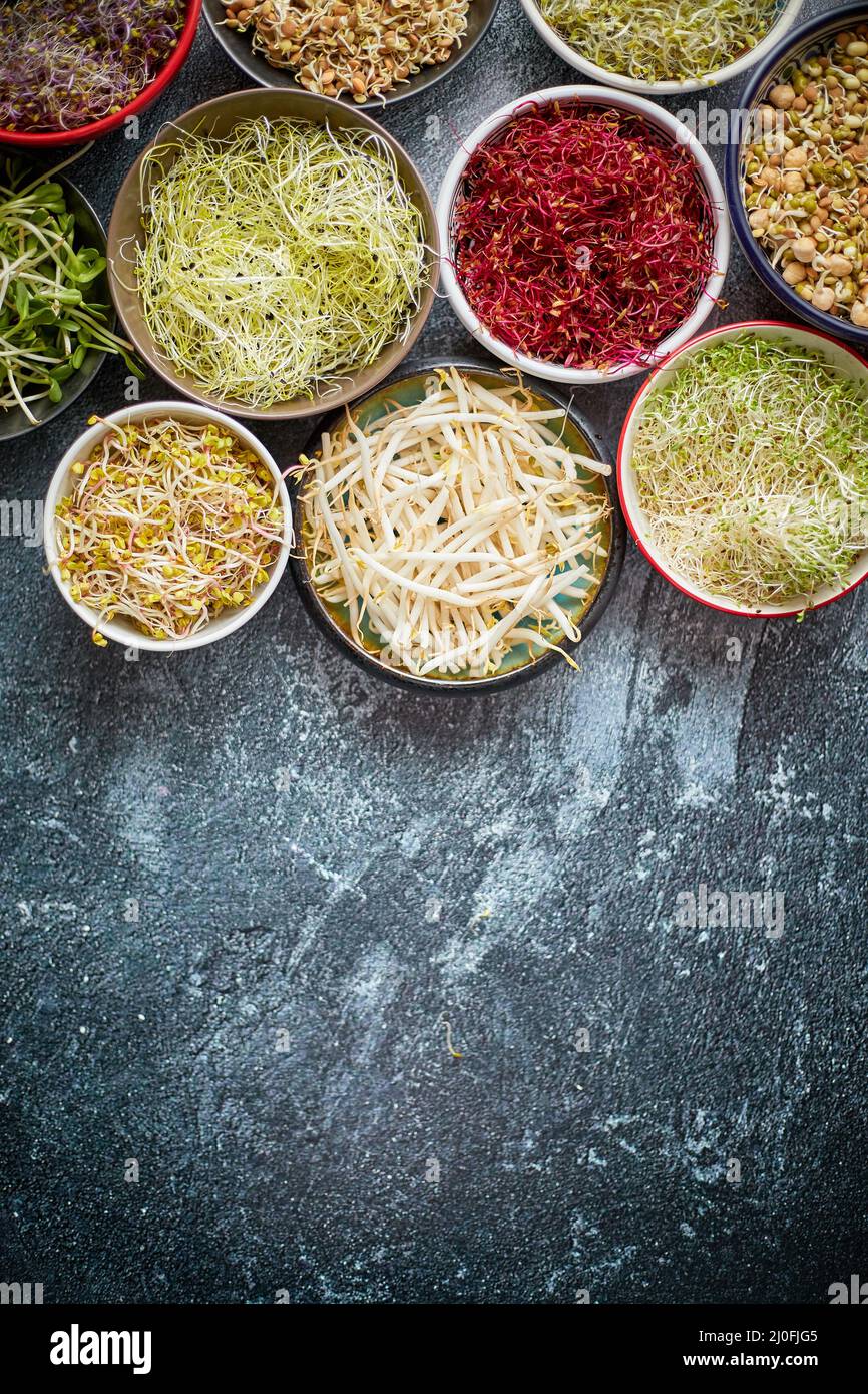 Vari tipi di micro green in ciotole colorate su sfondo ardesia. Prodotti da giardino freschi Foto Stock