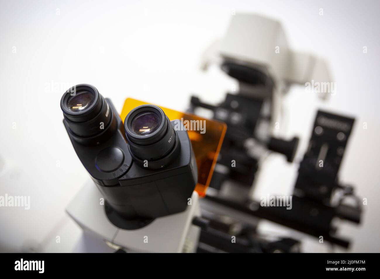 Lenti per microscopio Foto Stock