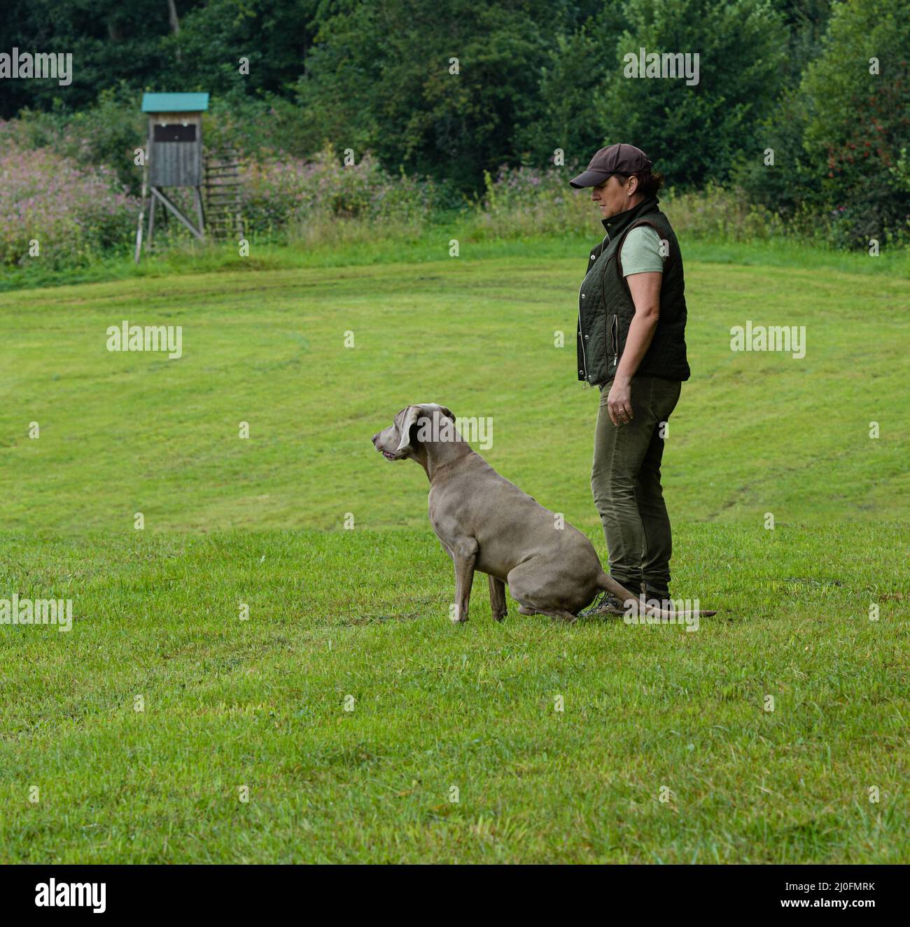 Huntress con il suo cane puntato Foto Stock
