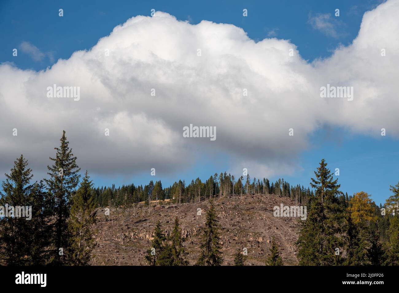 Paesaggio montano con paesaggi nuvolosi che coprono le cime montane dell'Alto Adige in Italia. Foto Stock