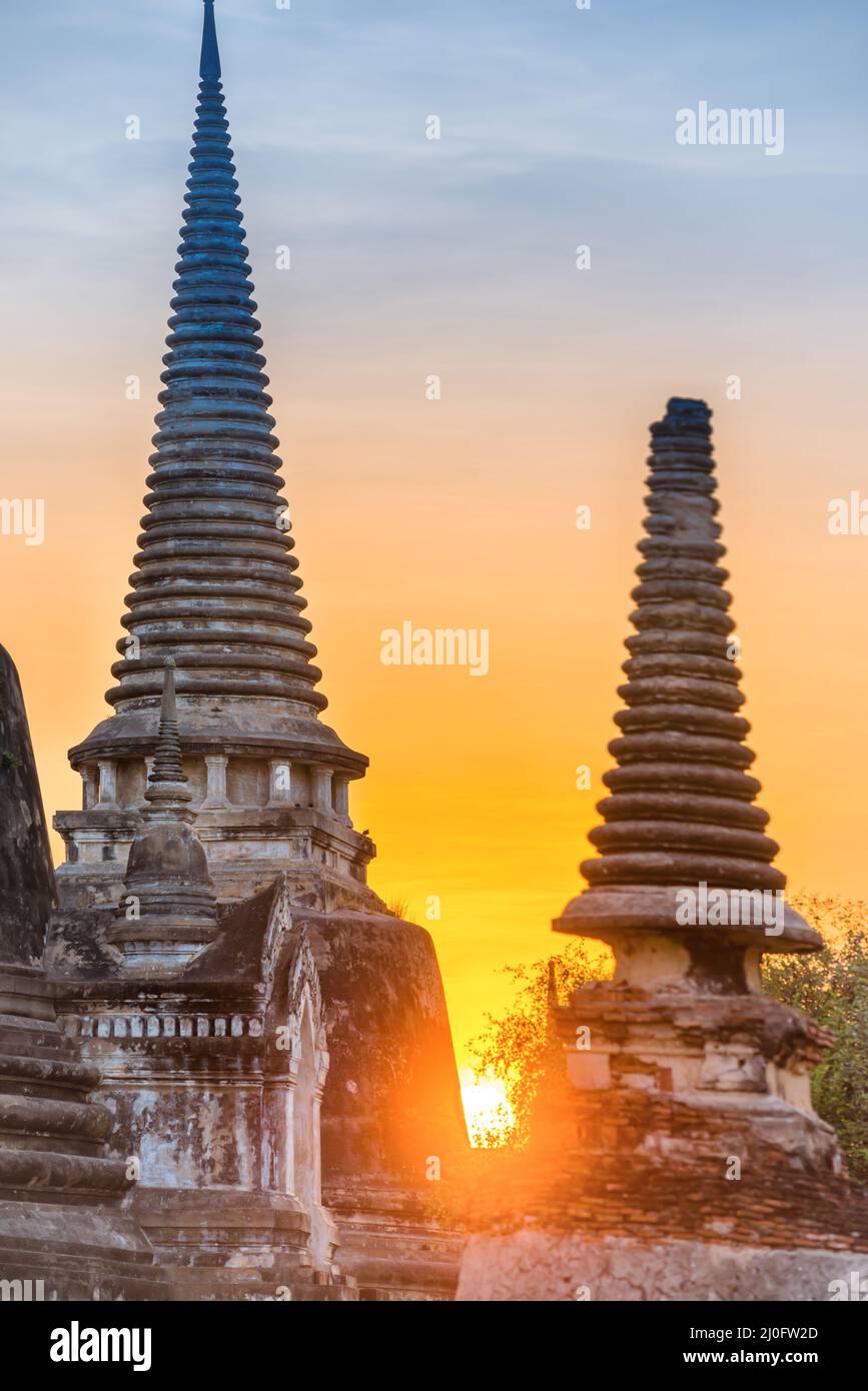 Tempio buddista Wat Phra si Sanphet ad Ayutthaya al tramonto Foto Stock