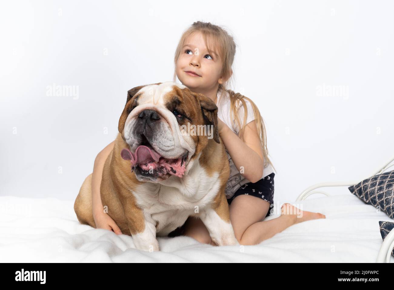 La giovane ragazza sognante si siede sul letto e abbraccia la cintura della sua amica. Il Bulldog inglese è un cane purebred con un pedigree. Foto Stock