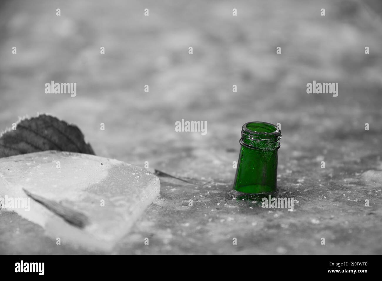 Bottiglia verde in bianco e nero - indicatore del livello dell'acqua Foto Stock