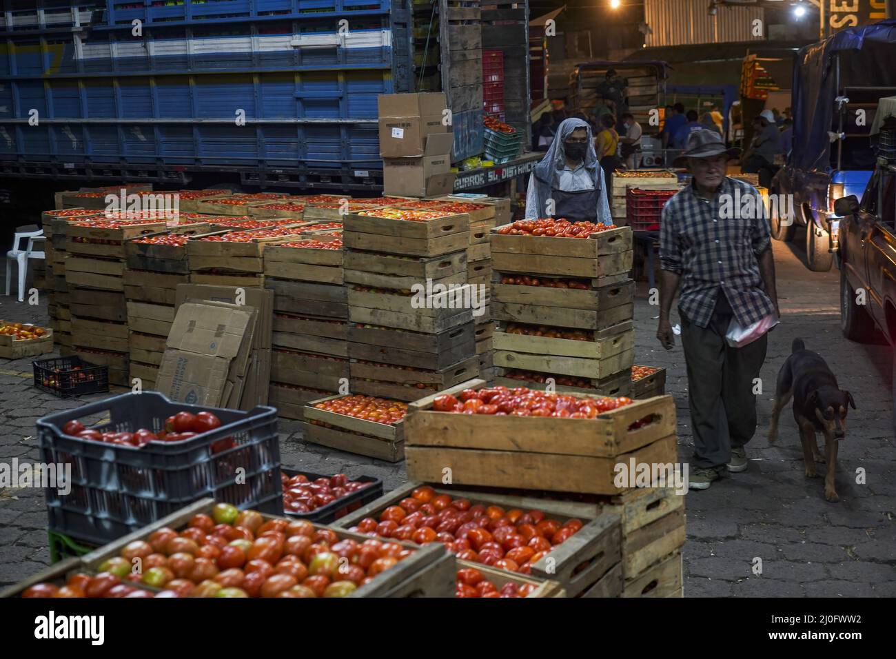 San Salvador, El Salvador. 14th Mar 2022. I venditori di prodotti preparano i pomodori da vendere in un mercato locale a San Salvador. Mentre il gas raggiunge i massimi record e la produzione locale registra i minimi, i mercati di El Salvador sperimentano aumenti di prezzo facendo molte preoccupazioni per i prezzi base del paniere, con articoli in aumento di oltre il 100% (Credit Image: © Camilo Freedman/SOPA Images via ZUMA Press Wire) Foto Stock