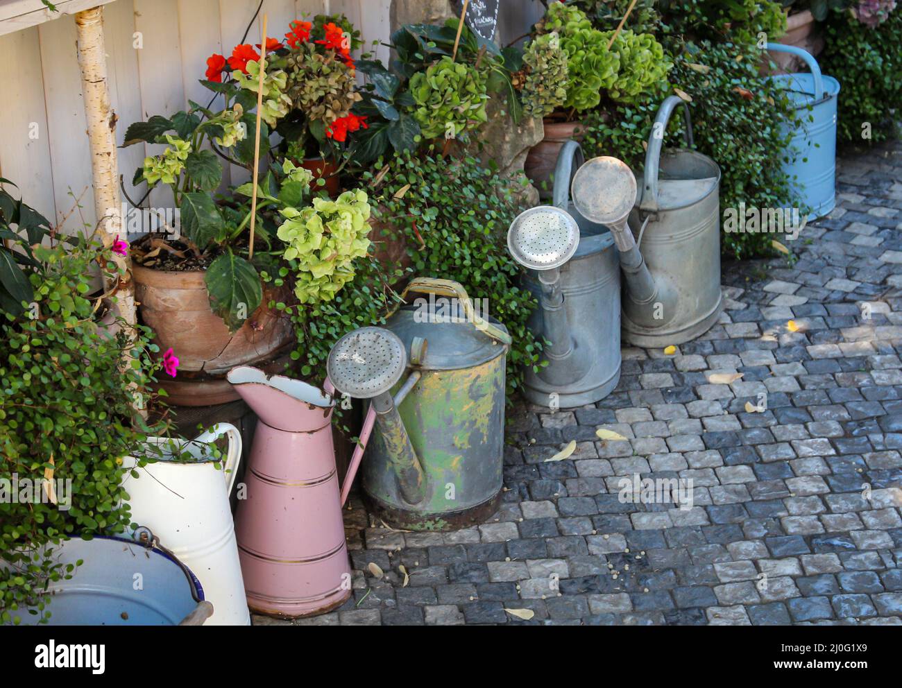 Molte lattine di irrigazione diverse si trovano su un percorso da giardino. Foto Stock