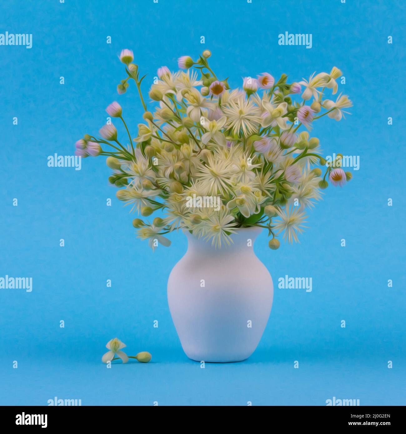 Bel bouquet di fiori selvatici in una caraffa bianca su sfondo blu da vicino Foto Stock