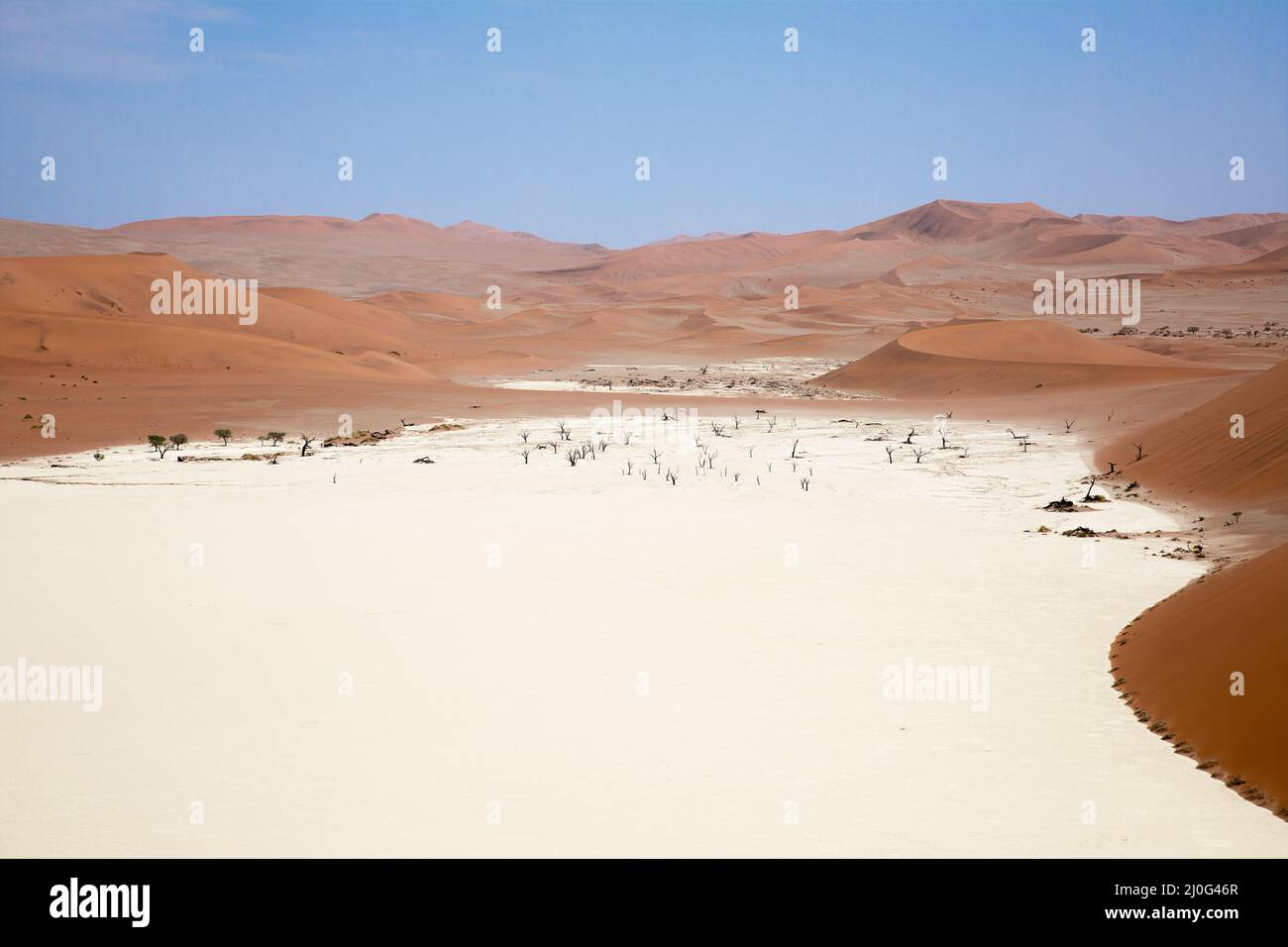 Vlei morto nel Namib Naukluft, Namibia Foto Stock