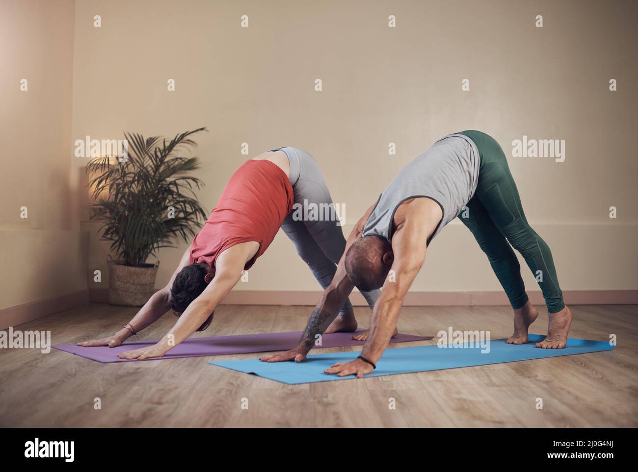 Stretching i martini. Shot completo di due yoga irriconoscibili che tengono un cane rivolto verso il basso durante una sessione di yoga al coperto. Foto Stock