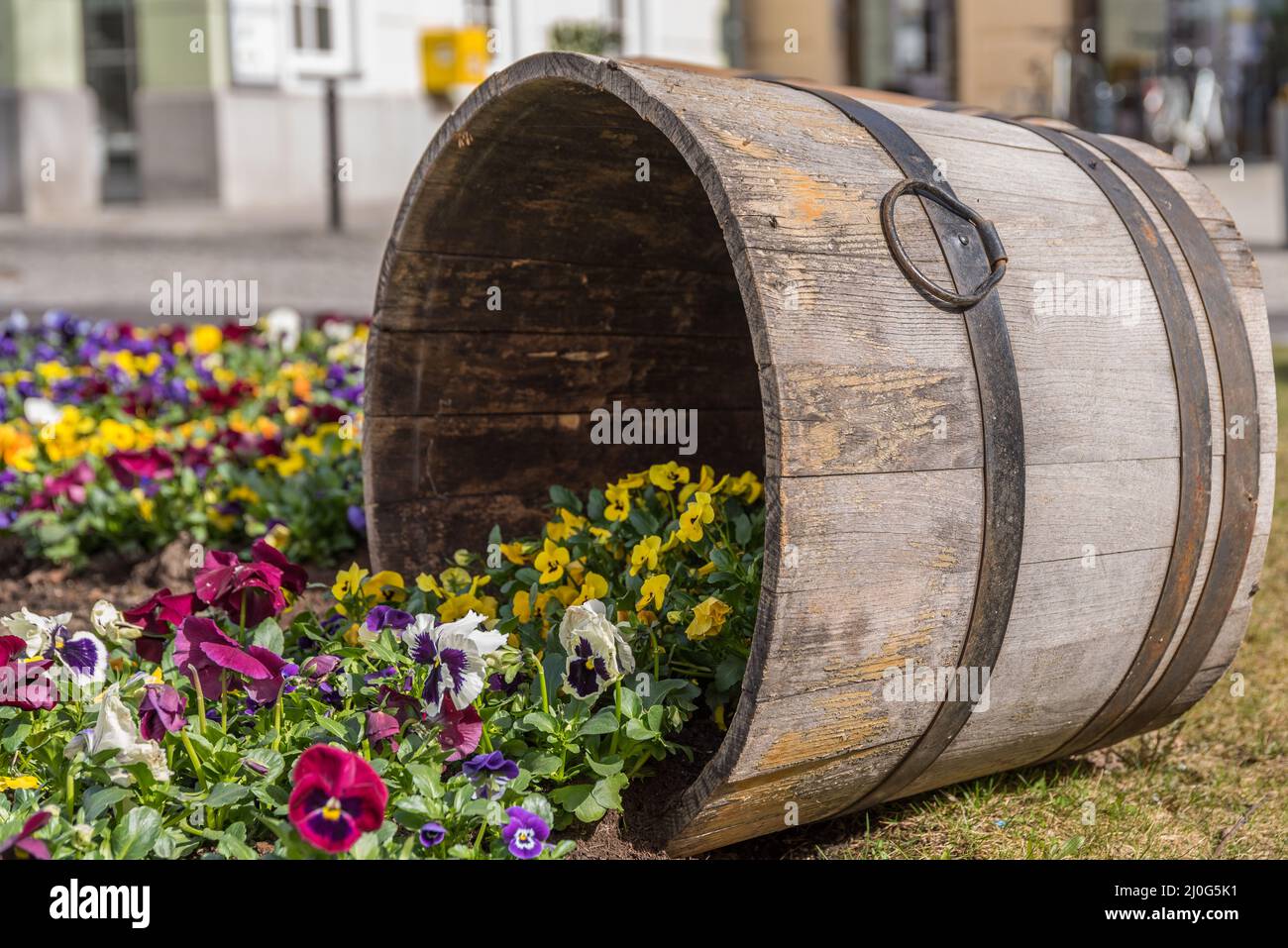 Design creativo del giardino con pantine e vasca in legno Foto Stock