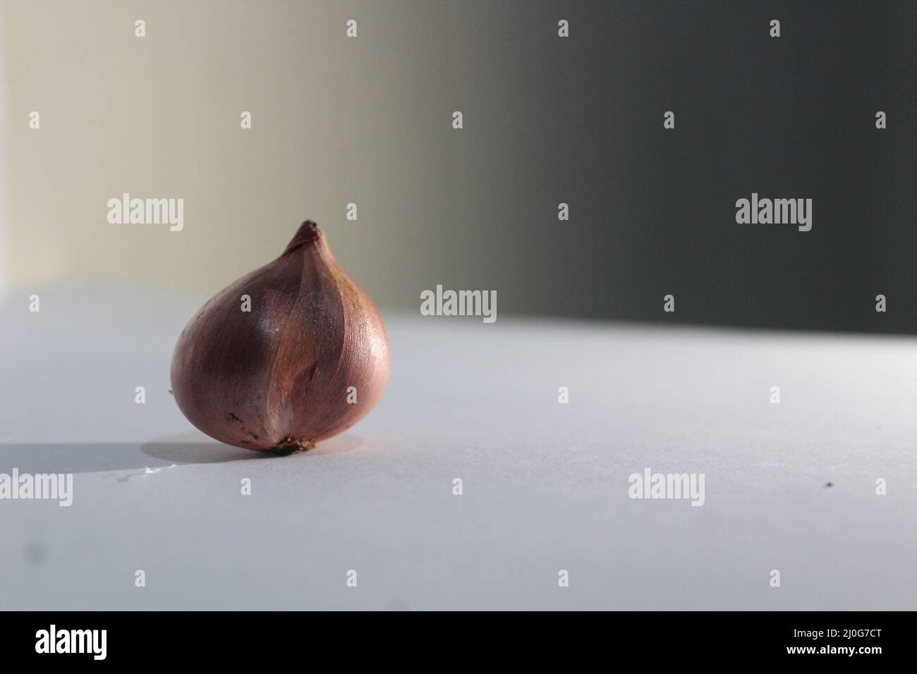 alcuni oggetti vengono fotografati collocando gli oggetti sul lato (destro o sinistro) con uno sfondo sfocato Foto Stock