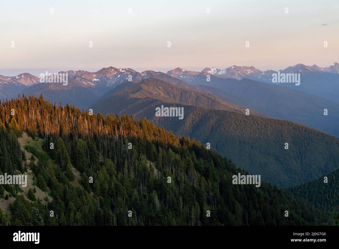 montagne ondulate e colline boschive con sole a tarda sera Foto Stock