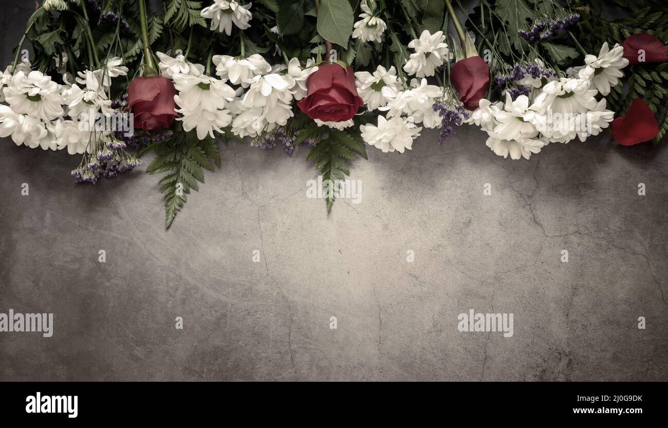 Crisantemi bianchi e rose rosse su sfondo scuro. Foto Stock