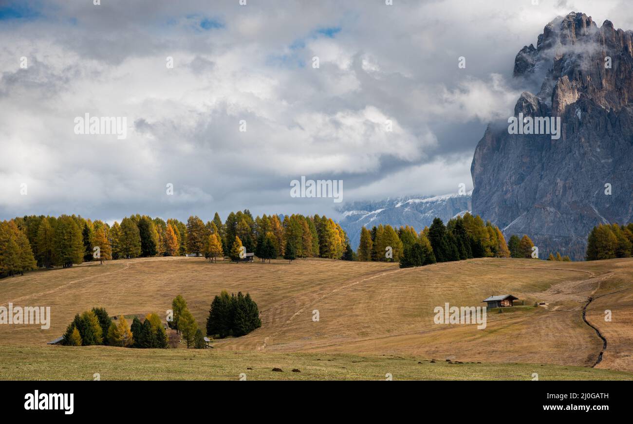 Paesaggio con un bel prato autunnale e le incredibili vette rocciose dolomitiche. Valle dell'Alpe di siusi Alpe di siusi Sud Tyro Foto Stock